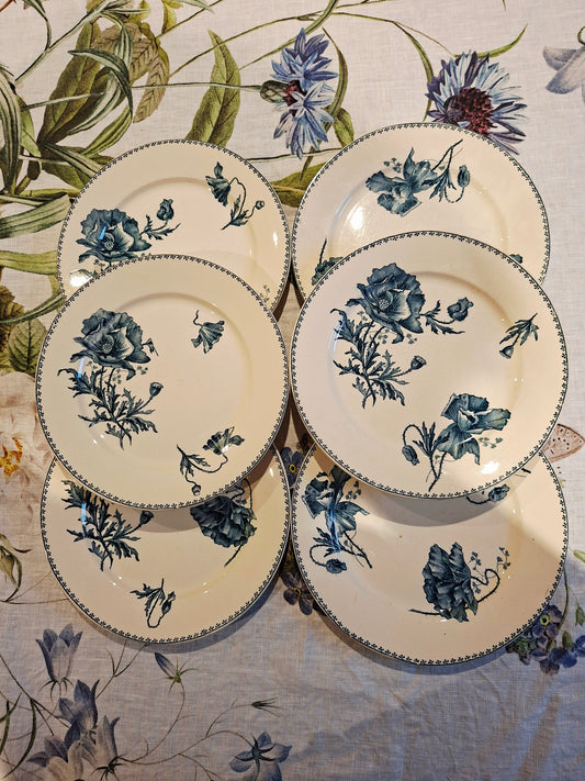Lot de 6 assiettes plates "Féria" U&C Sarreguemines