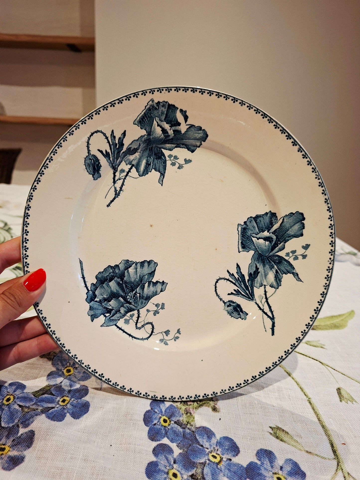 Lot de 6 assiettes plates "Féria" U&C Sarreguemines
