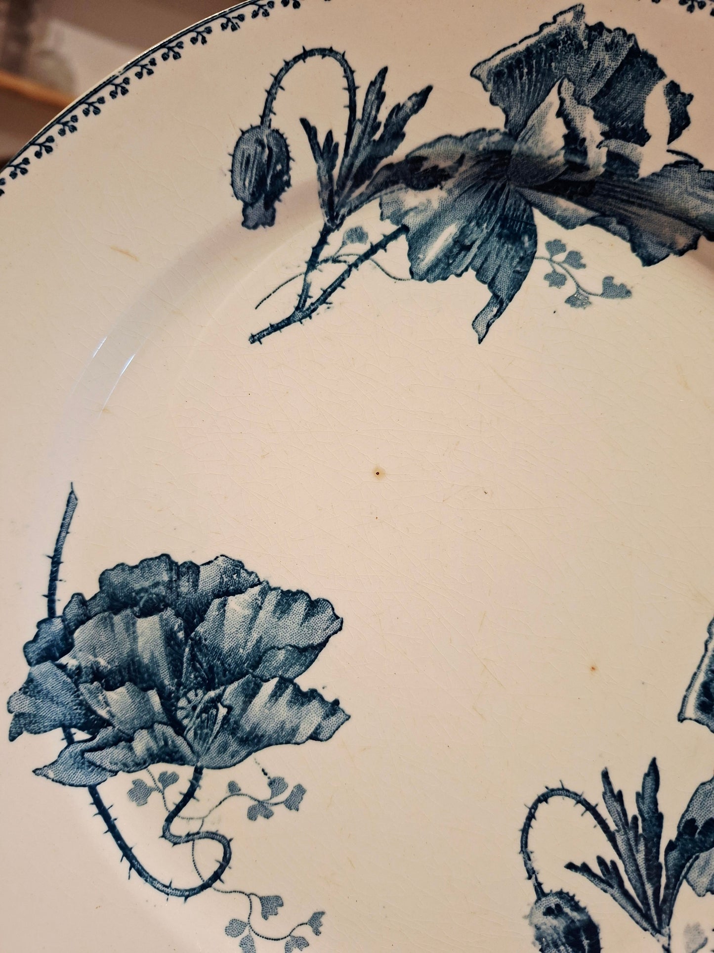 Lot de 6 assiettes plates "Féria" U&C Sarreguemines