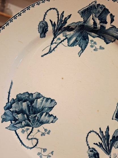 Lot de 6 assiettes plates "Féria" U&C Sarreguemines