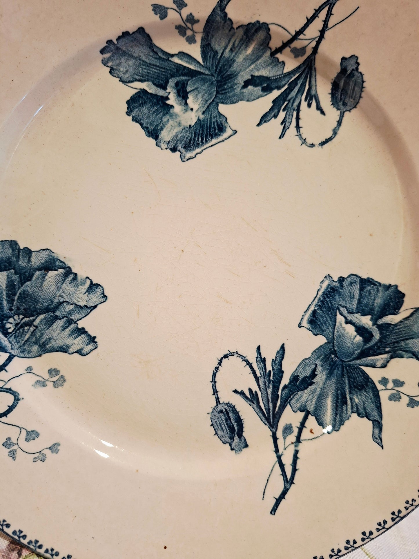 Lot de 6 assiettes plates "Féria" U&C Sarreguemines