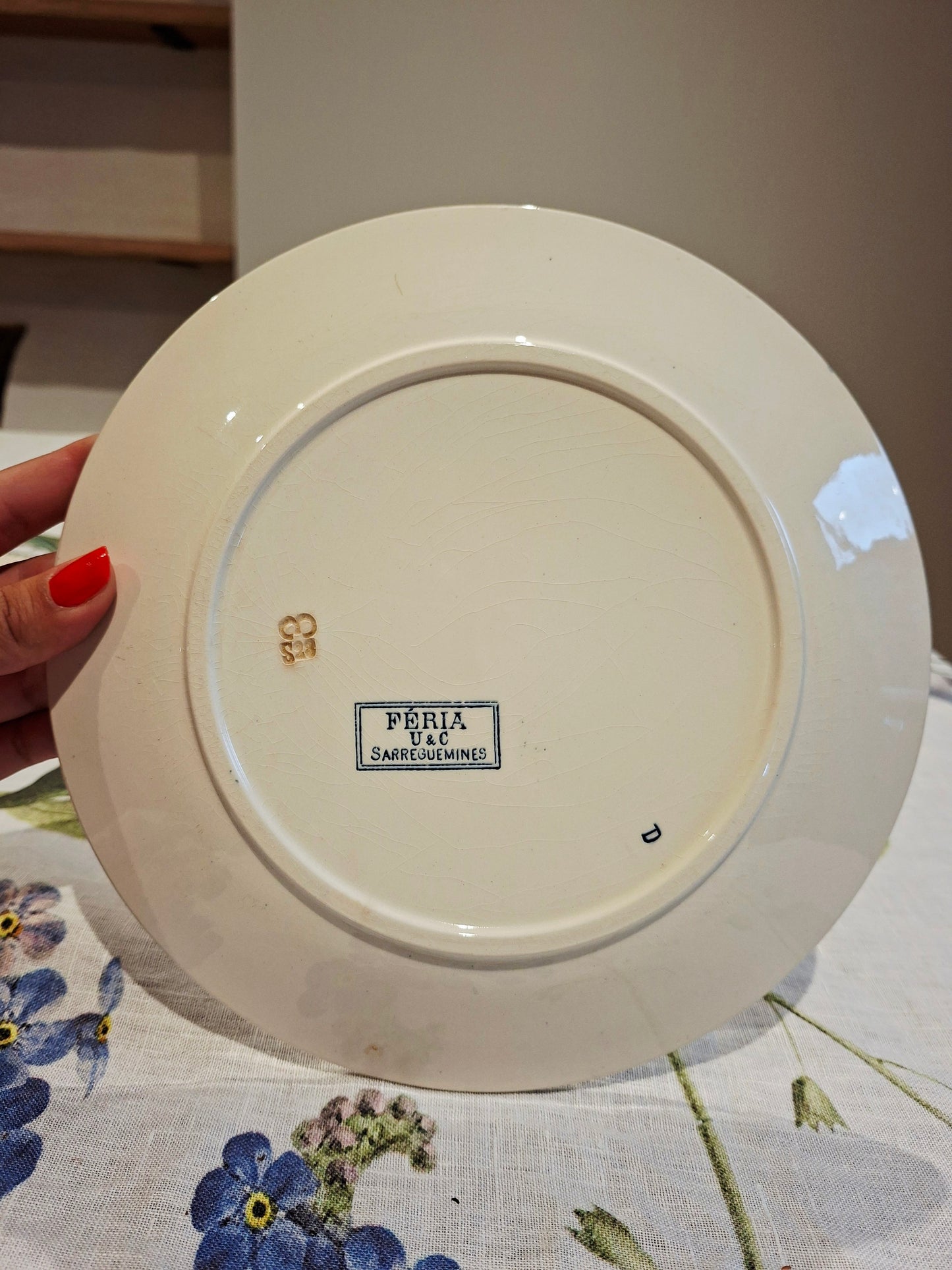Lot de 6 assiettes plates "Féria" U&C Sarreguemines