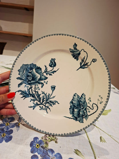 Lot de 6 assiettes plates "Féria" U&C Sarreguemines