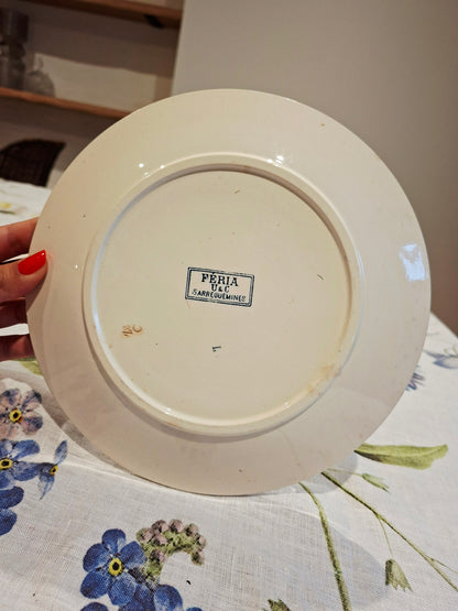 Lot de 6 assiettes plates "Féria" U&C Sarreguemines