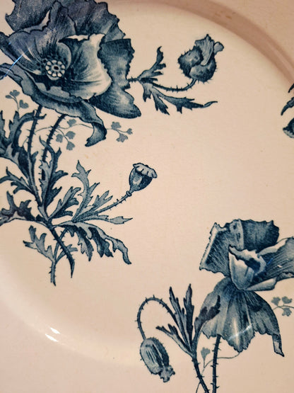 Lot de 6 assiettes plates "Féria" U&C Sarreguemines