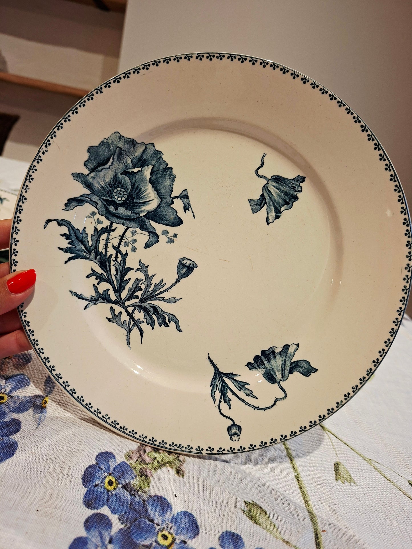 Lot de 6 assiettes plates "Féria" U&C Sarreguemines