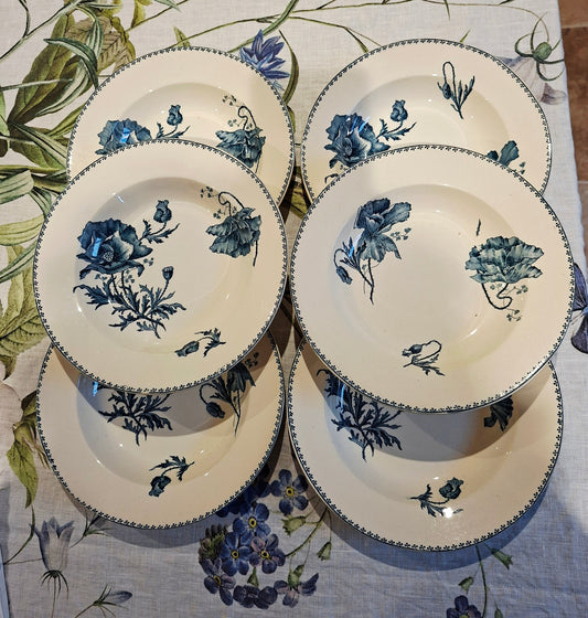 Lot de 6 assiettes creuses "Féria" U&C Sarreguemines