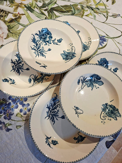 Lot de 6 assiettes creuses "Féria" U&C Sarreguemines