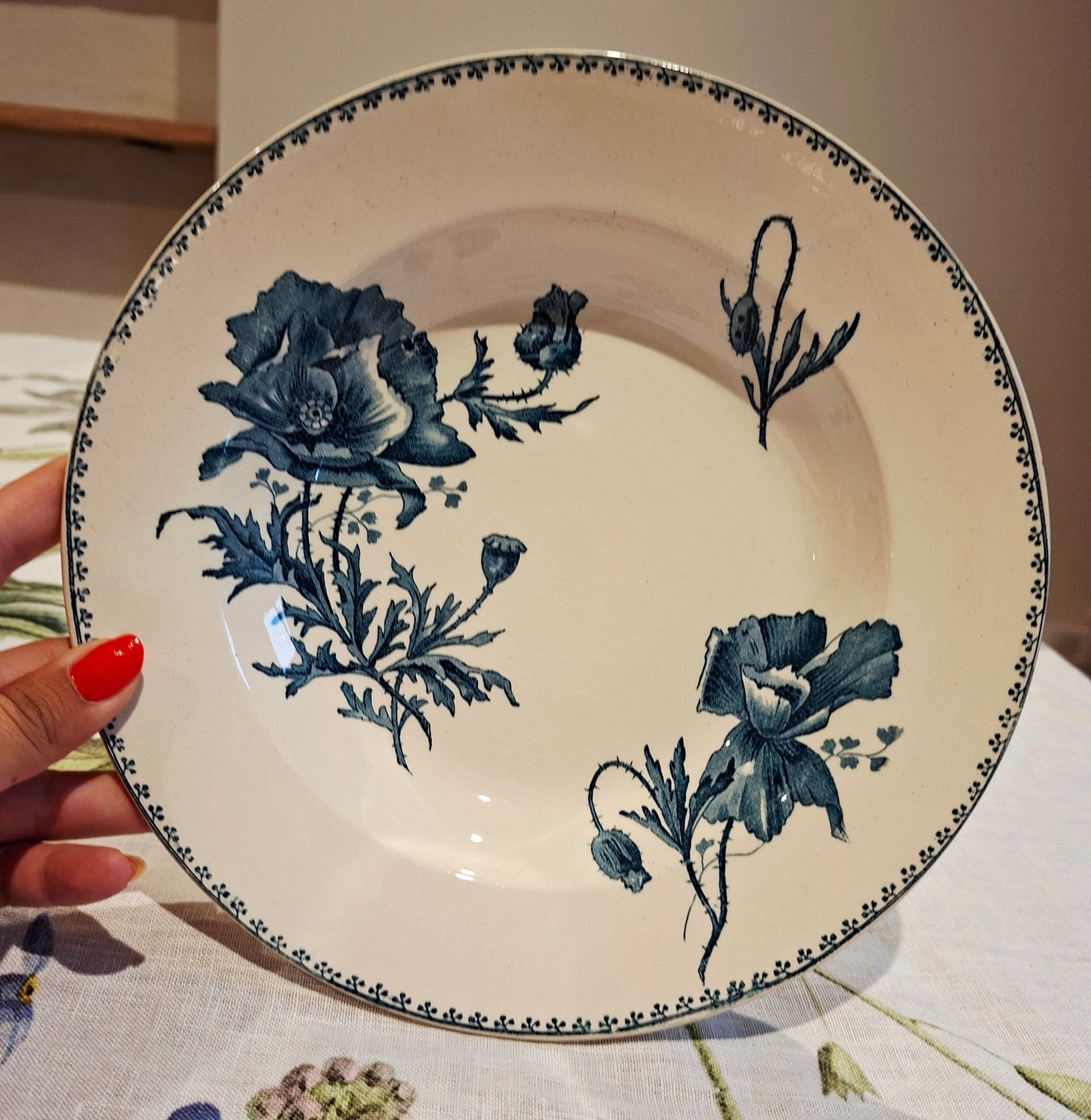Lot de 6 assiettes creuses "Féria" U&C Sarreguemines