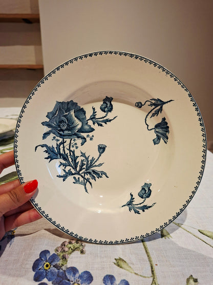 Lot de 6 assiettes creuses "Féria" U&C Sarreguemines