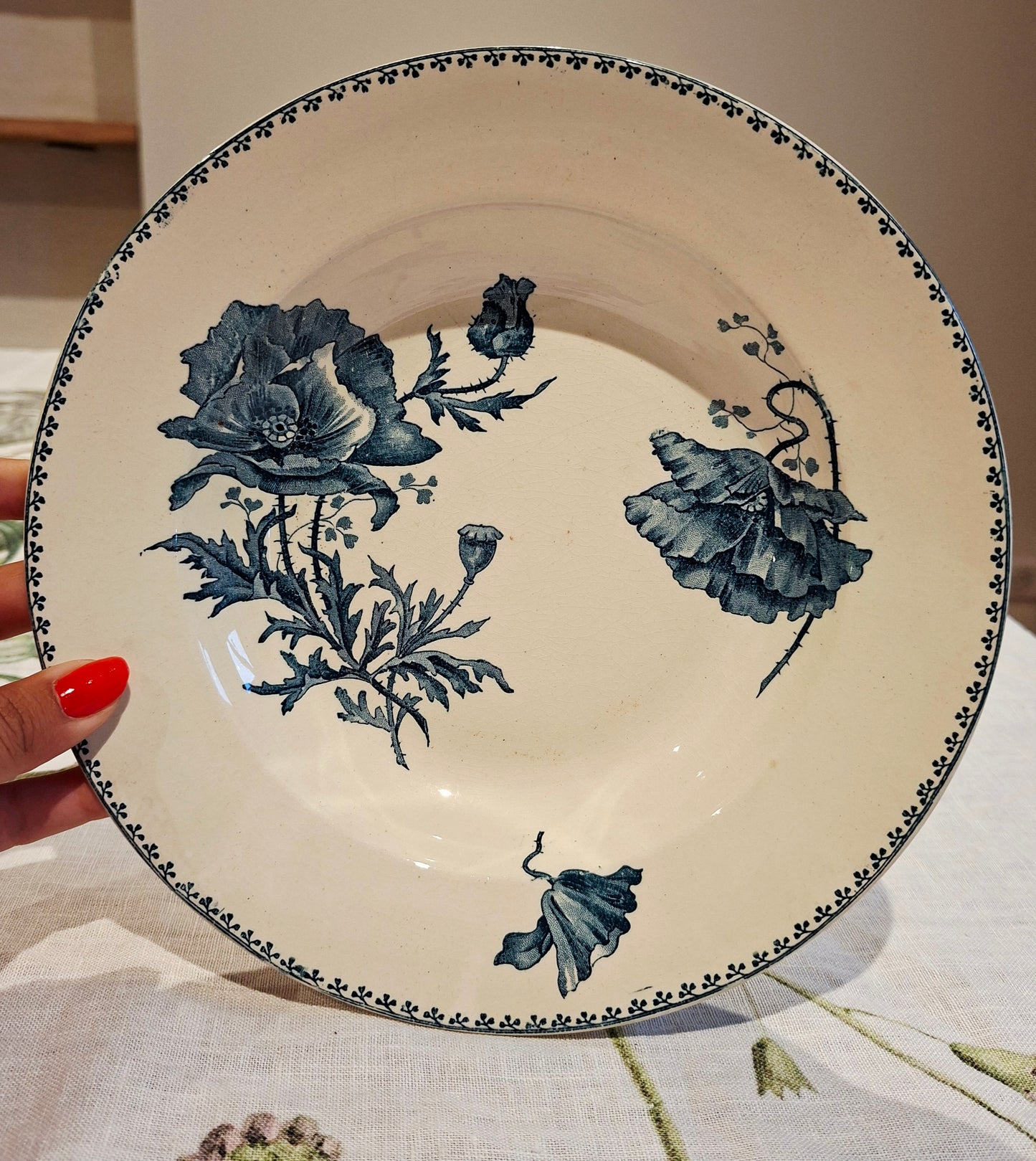 Lot de 6 assiettes creuses "Féria" U&C Sarreguemines