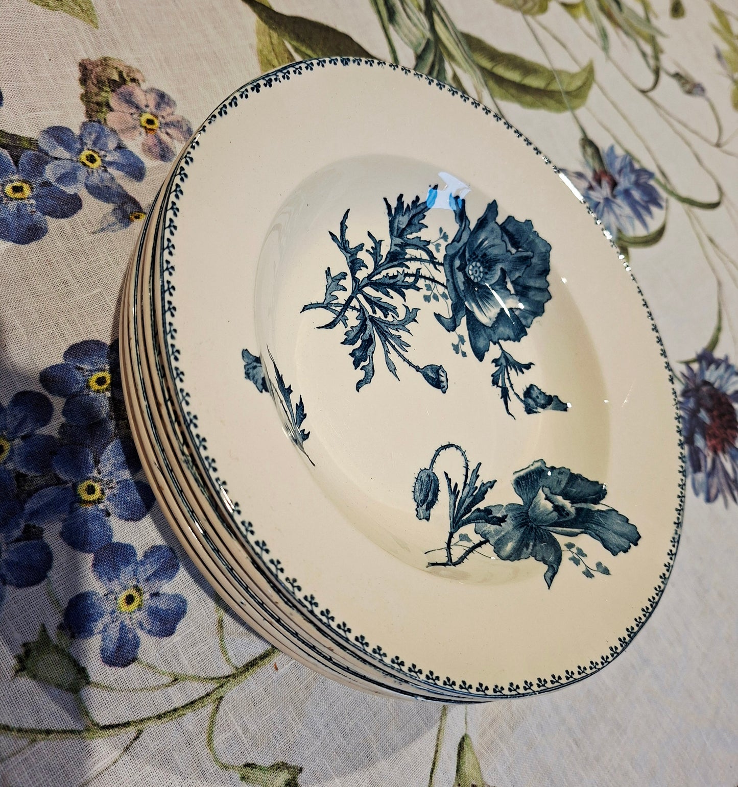 Lot de 6 assiettes creuses "Féria" U&C Sarreguemines