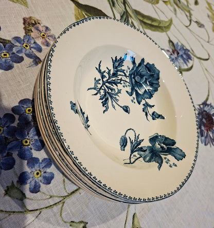 Lot de 6 assiettes creuses "Féria" U&C Sarreguemines