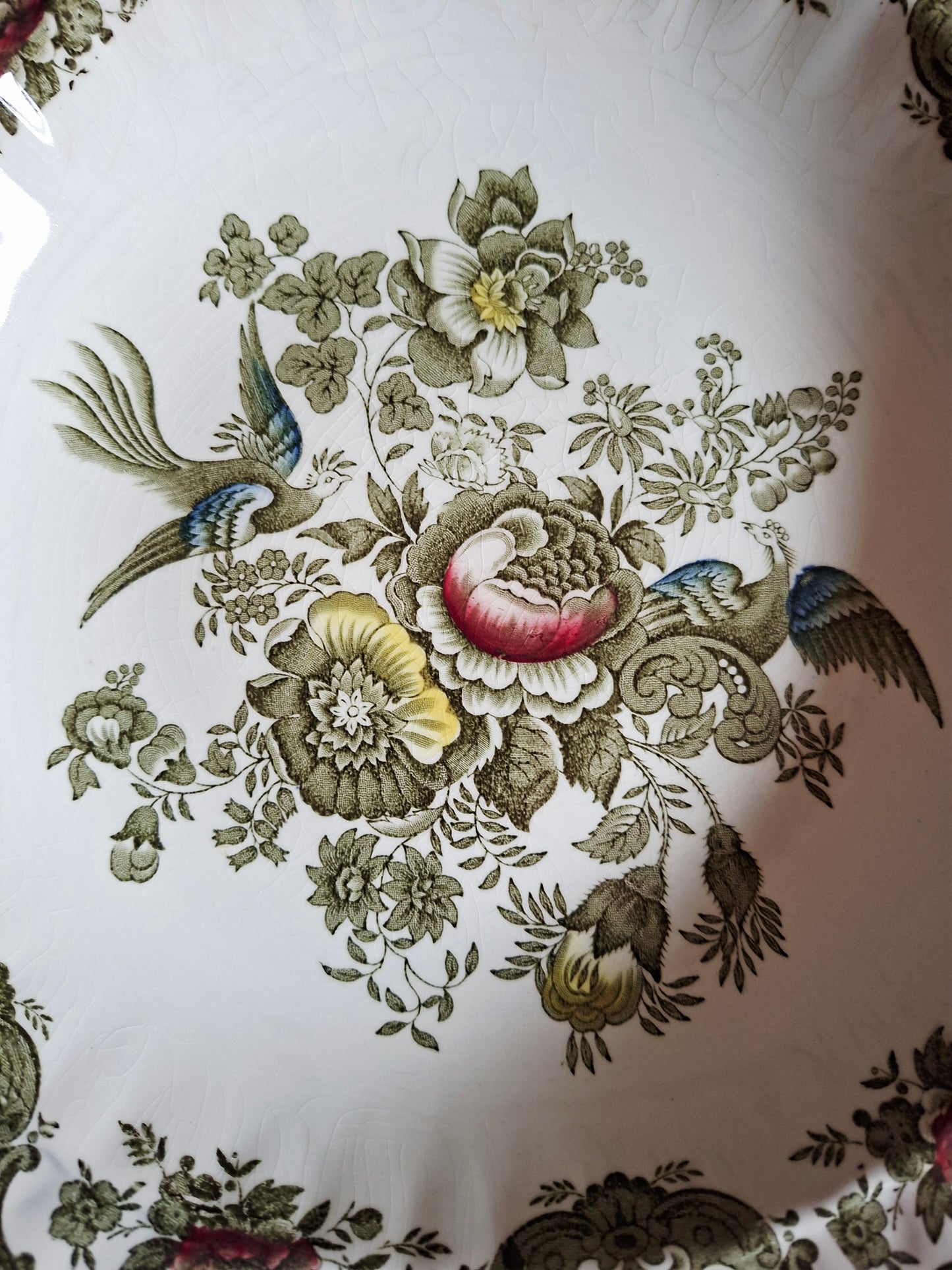 Plat creux Ridgway of Staffordshire, modèle Windsor