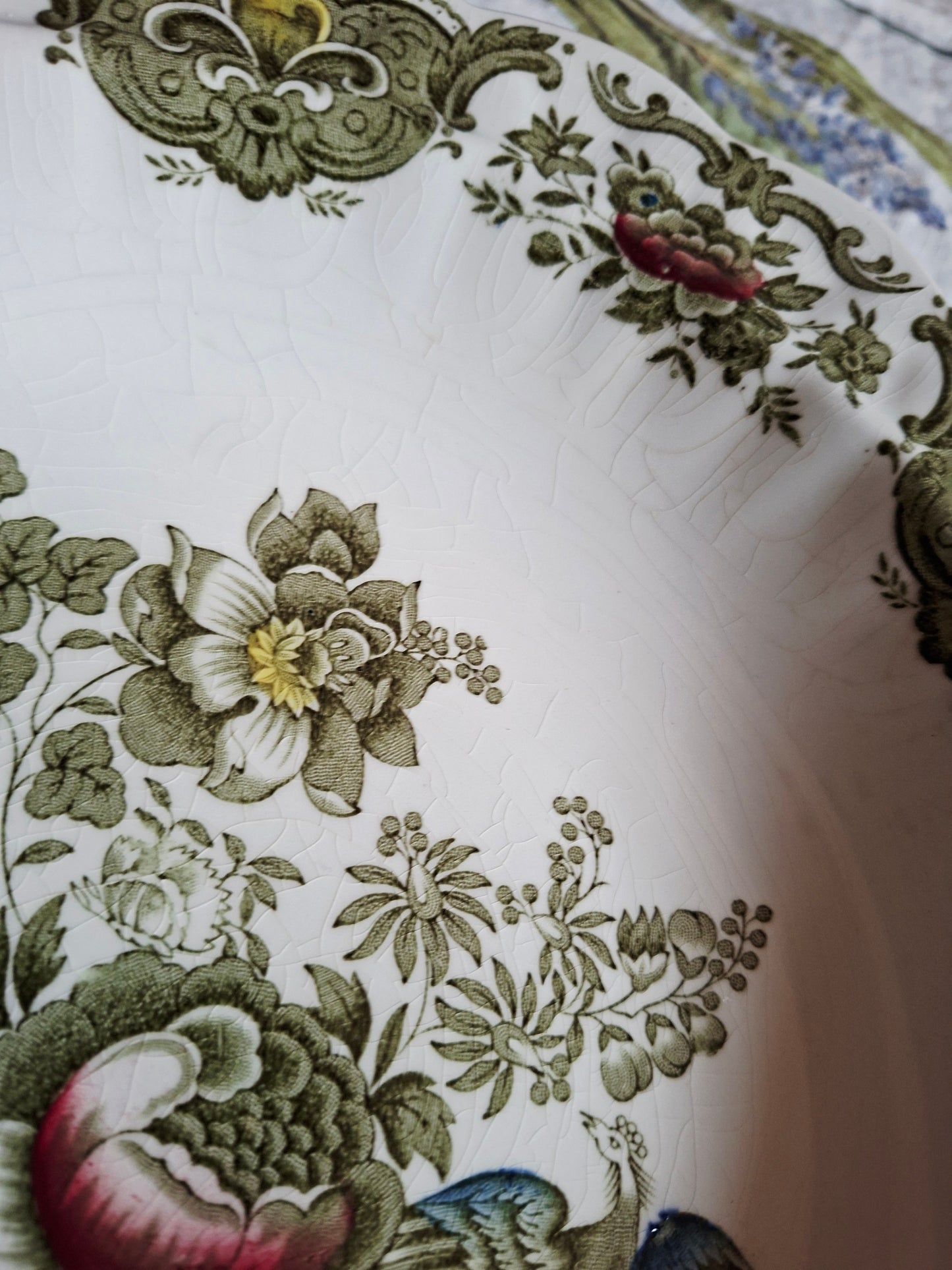 Plat creux Ridgway of Staffordshire, modèle Windsor