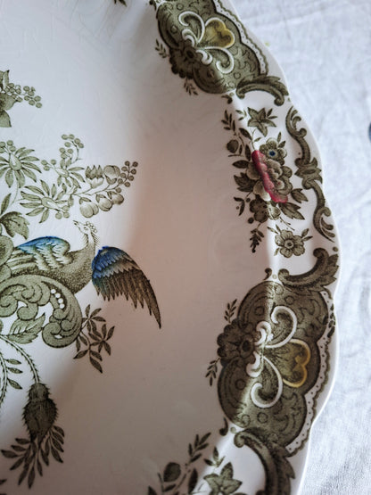 Plat creux Ridgway of Staffordshire, modèle Windsor