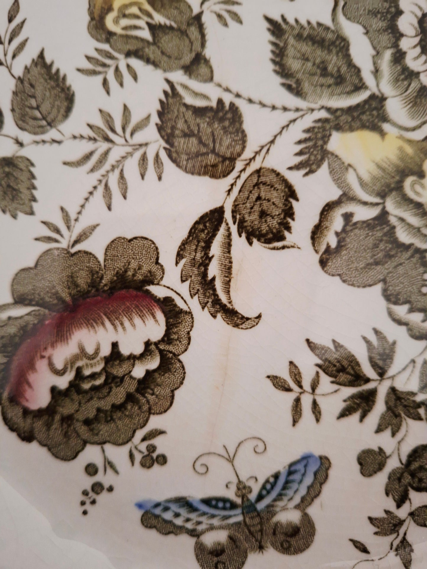 Plat ovale Ridgway of Staffordshire