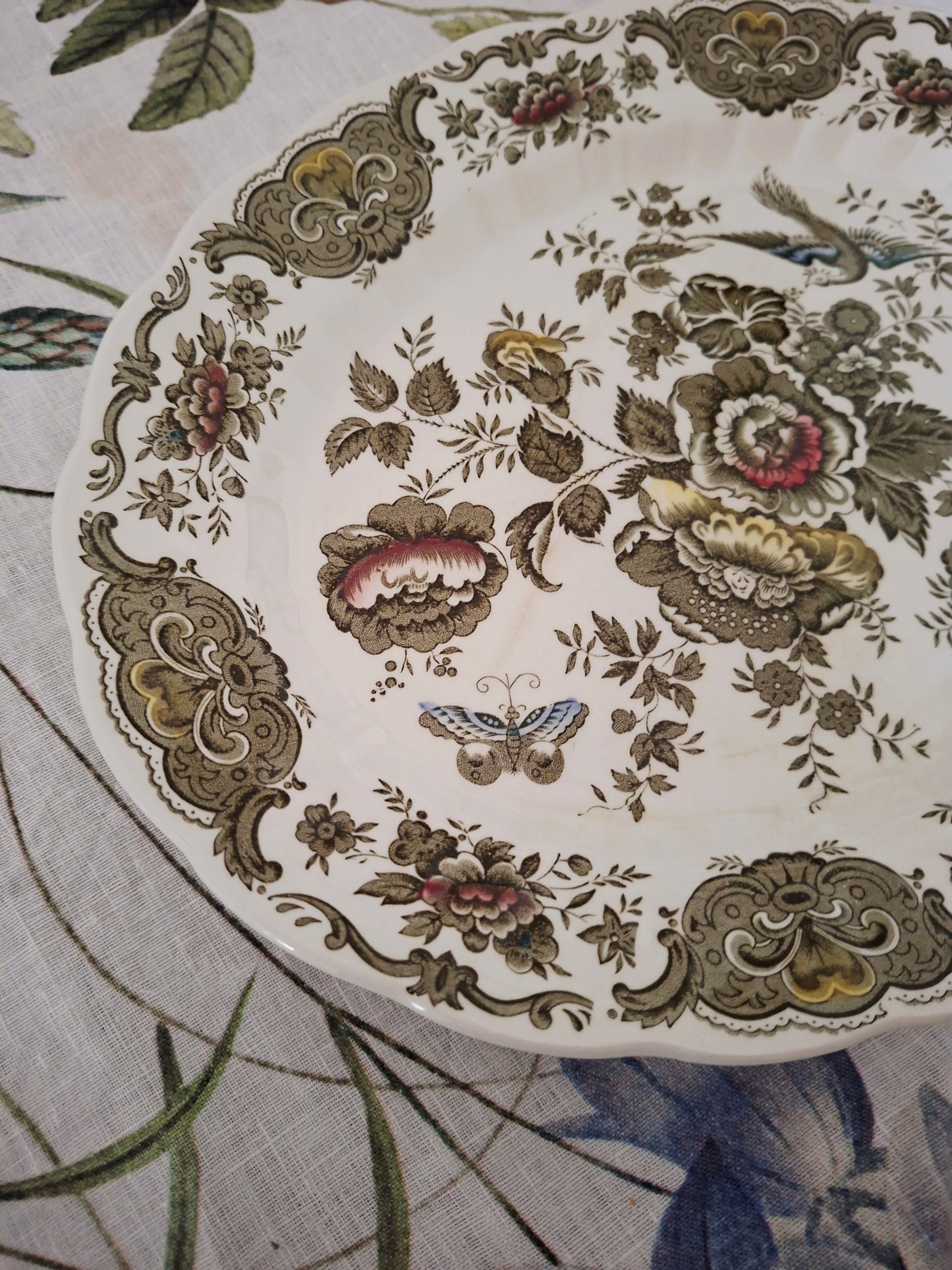 Plat ovale Ridgway of Staffordshire