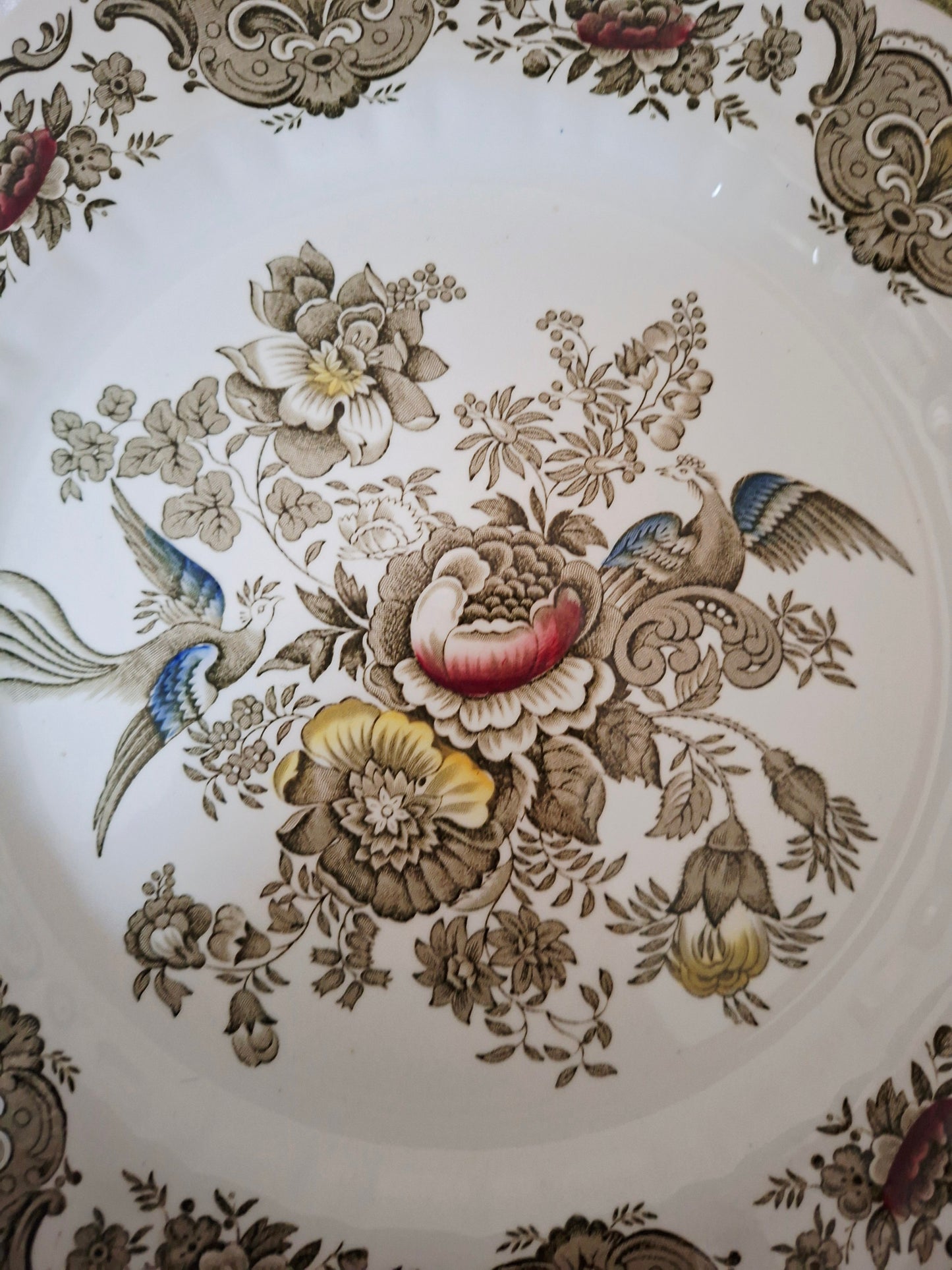 Plat rond Ridgway of Staffordshire, modèle Windsor