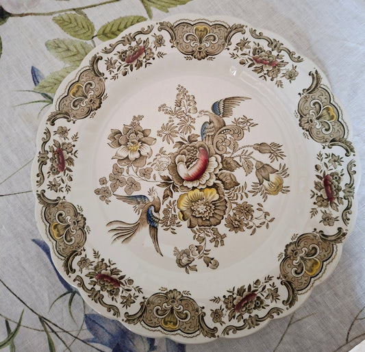 Plat rond Ridgway of Staffordshire, modèle Windsor