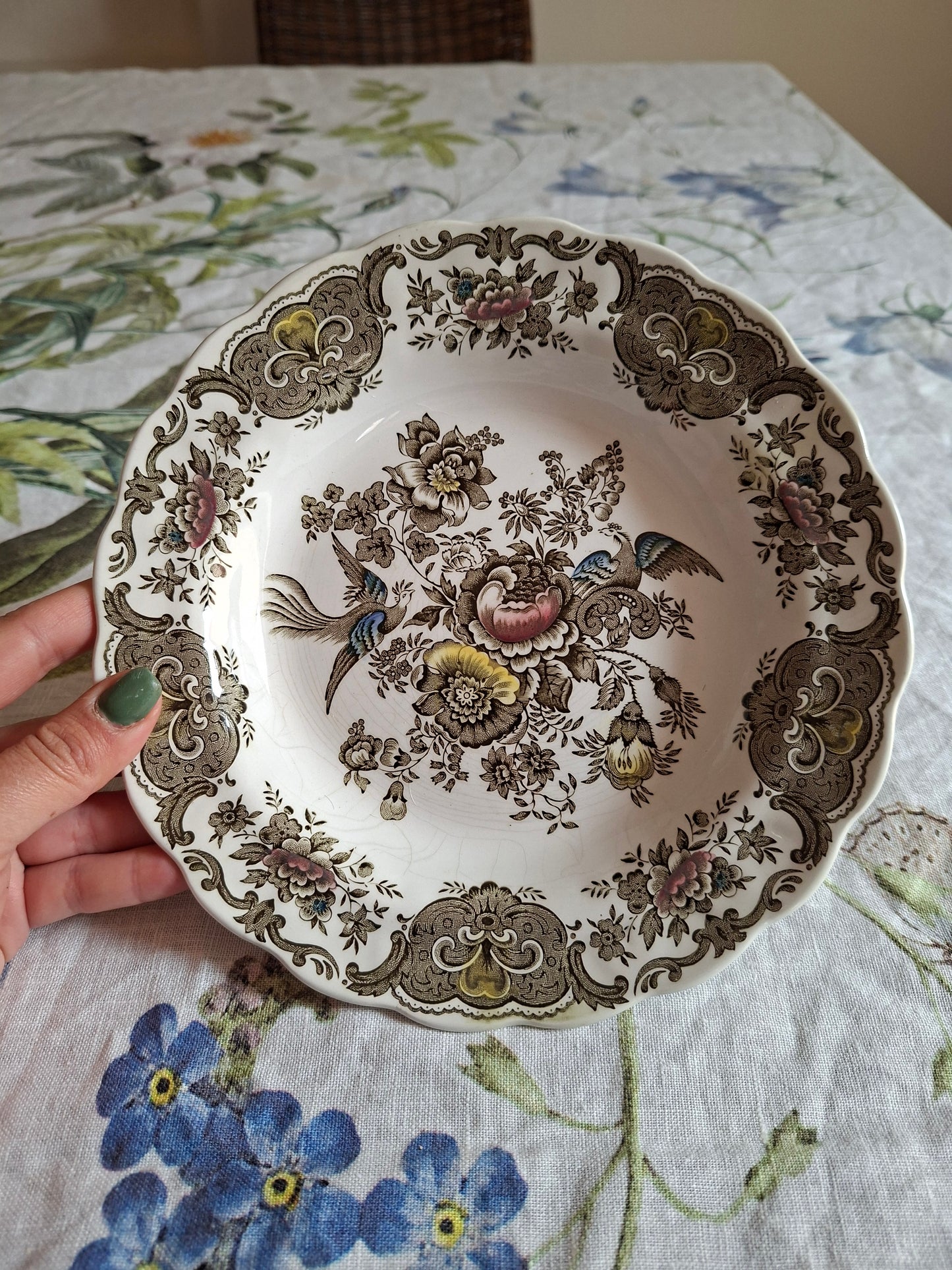 (1) Lot de 4 assiettes creuses Ridgway of Staffordshire