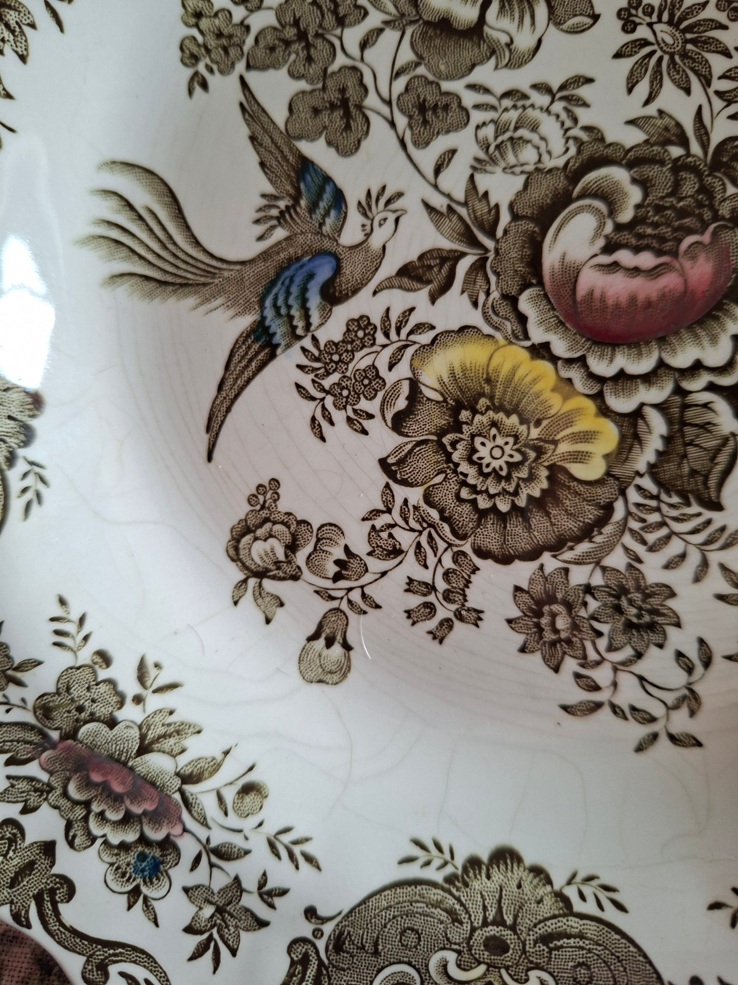 (1) Lot de 4 assiettes creuses Ridgway of Staffordshire