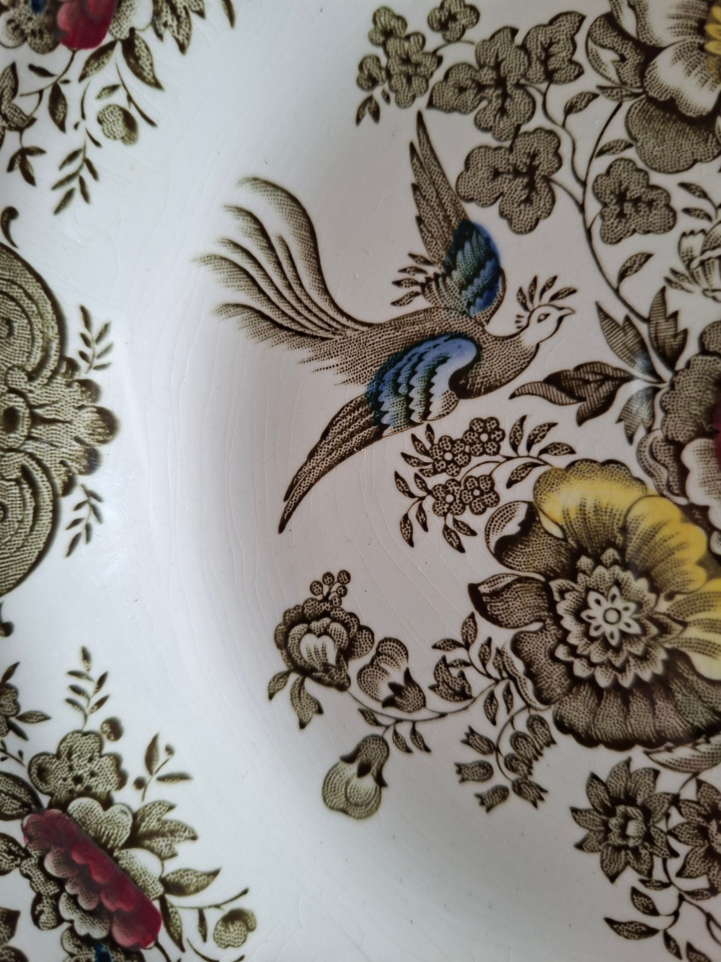 (1) Lot de 4 assiettes creuses Ridgway of Staffordshire