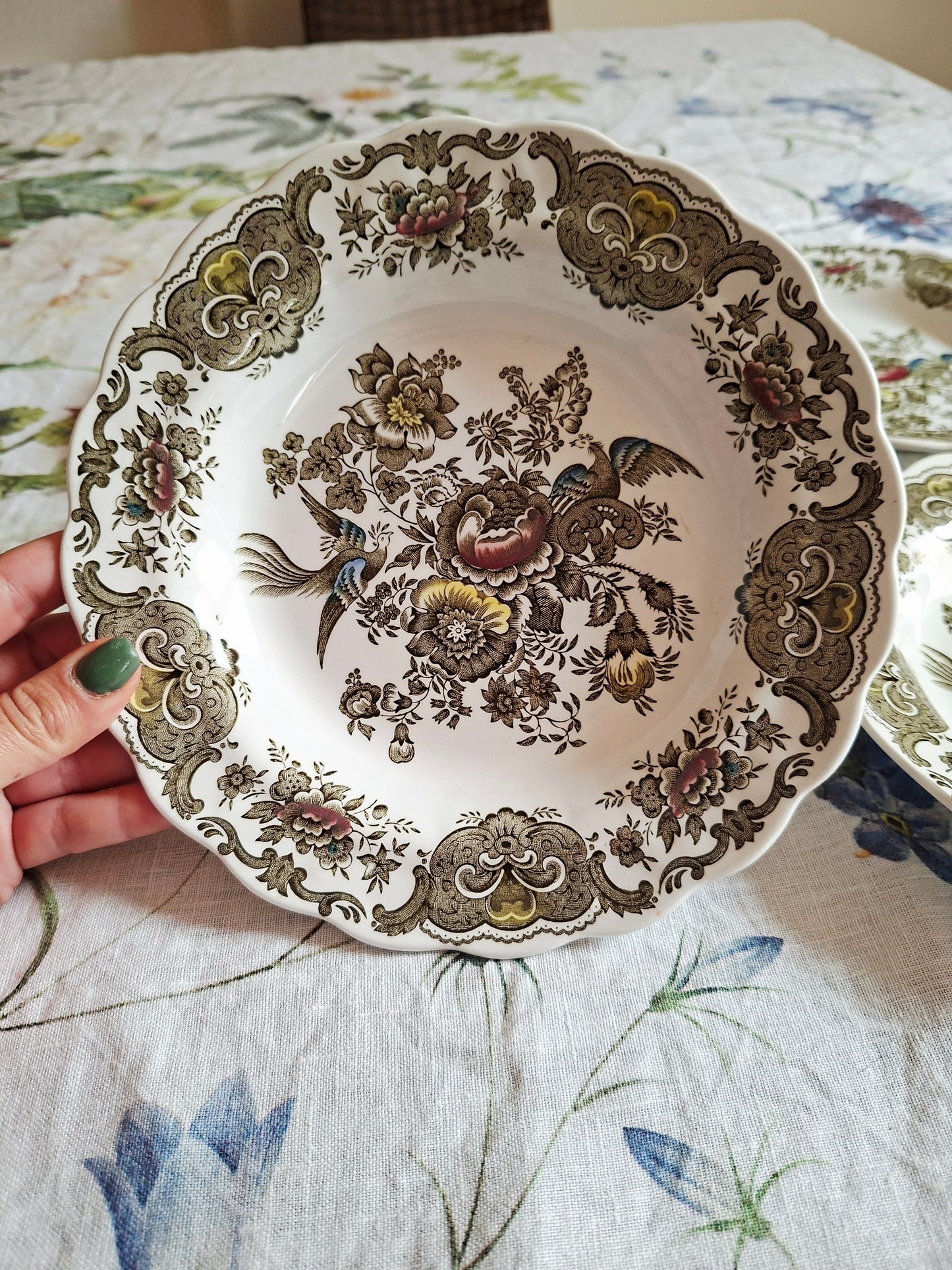 (2) Lot de 4 assiettes creuses  Ridgway of Staffordshire