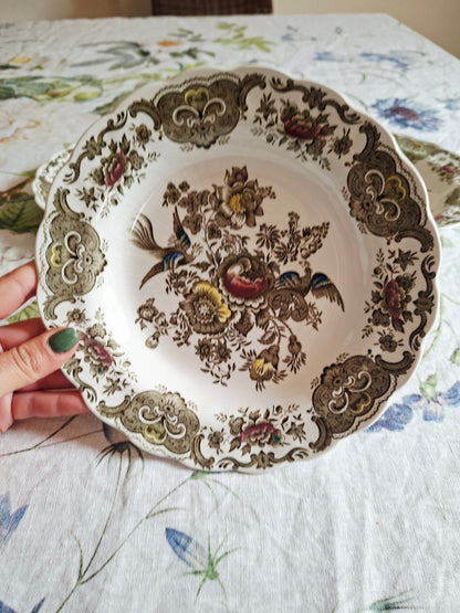 (2) Lot de 4 assiettes creuses  Ridgway of Staffordshire