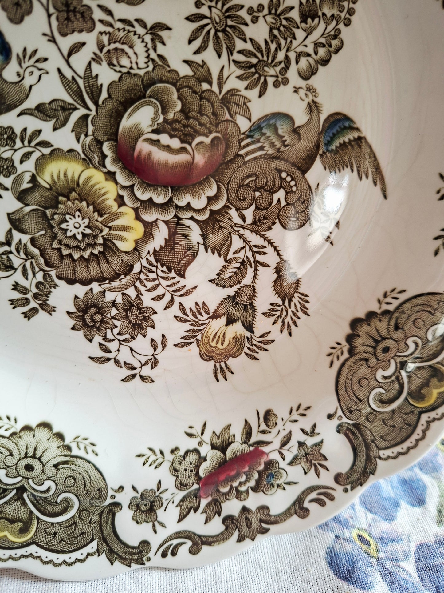 (2) Lot de 4 assiettes creuses  Ridgway of Staffordshire