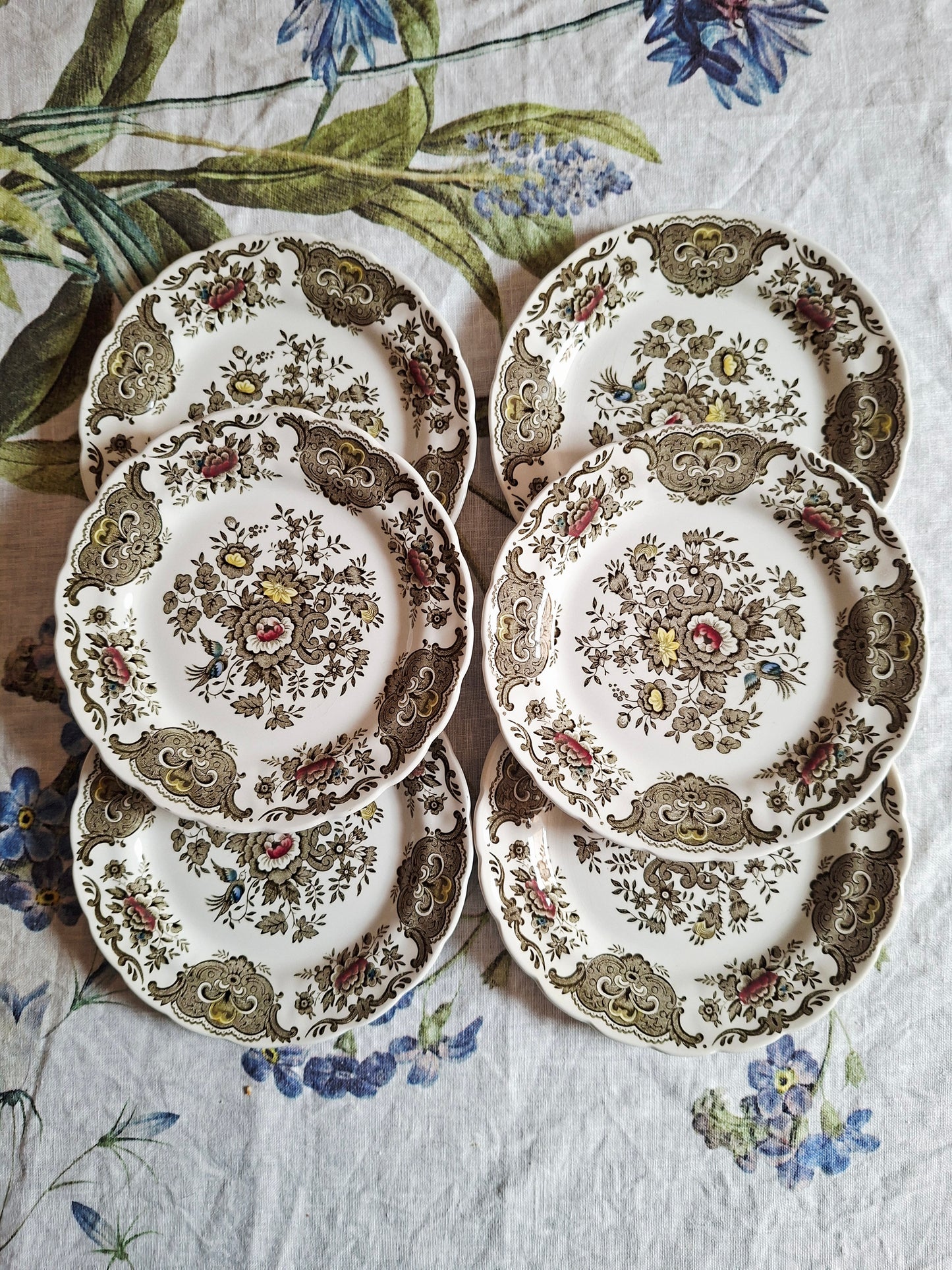 Lot de 6 assiettes à dessert Ridgway of Staffordshire