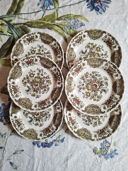 Lot de 6 assiettes à dessert Ridgway of Staffordshire