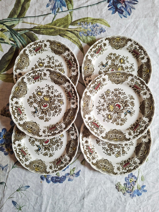 Lot de 6 assiettes à dessert Ridgway of Staffordshire