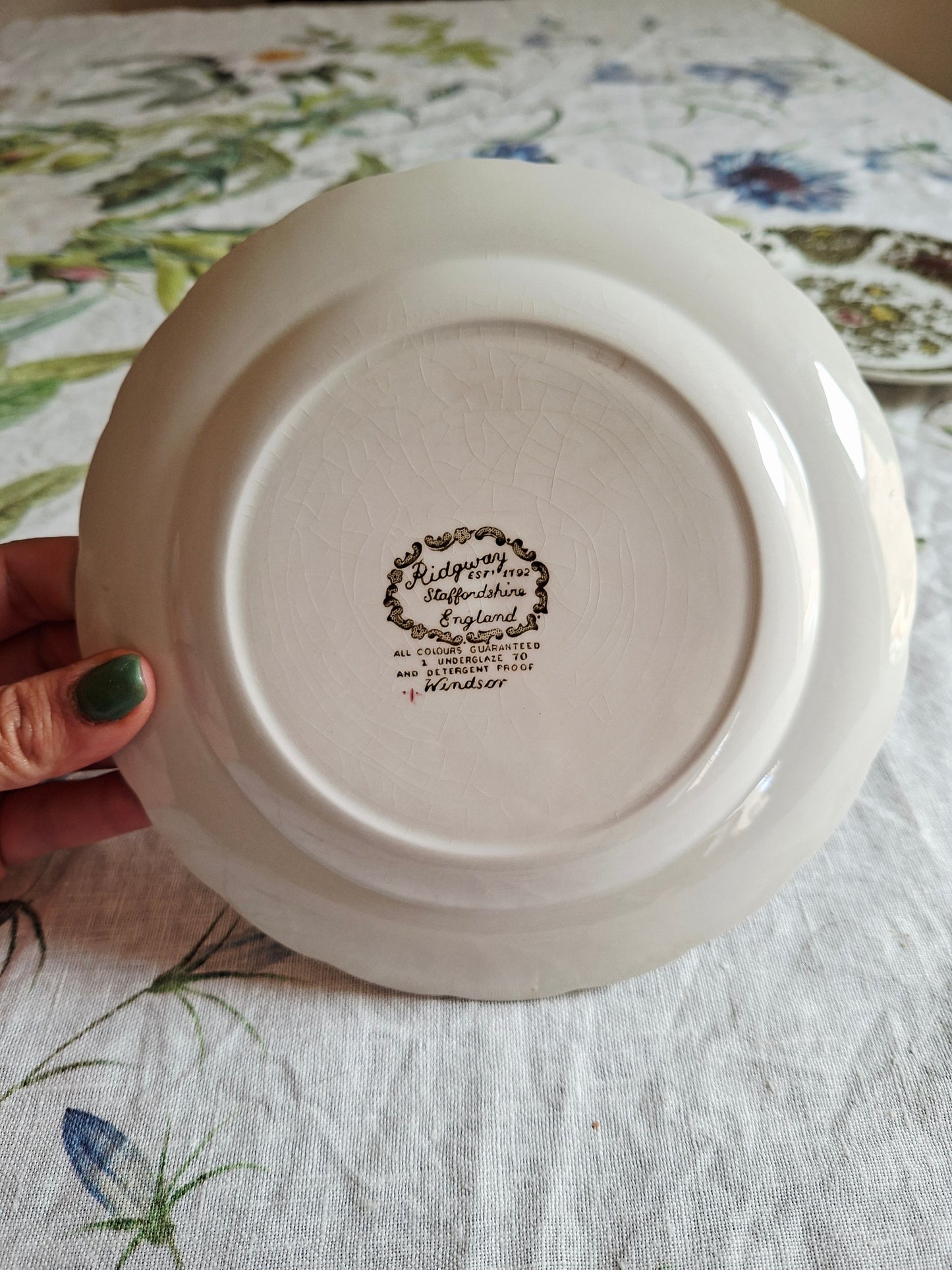 Lot de 6 assiettes à dessert Ridgway of Staffordshire