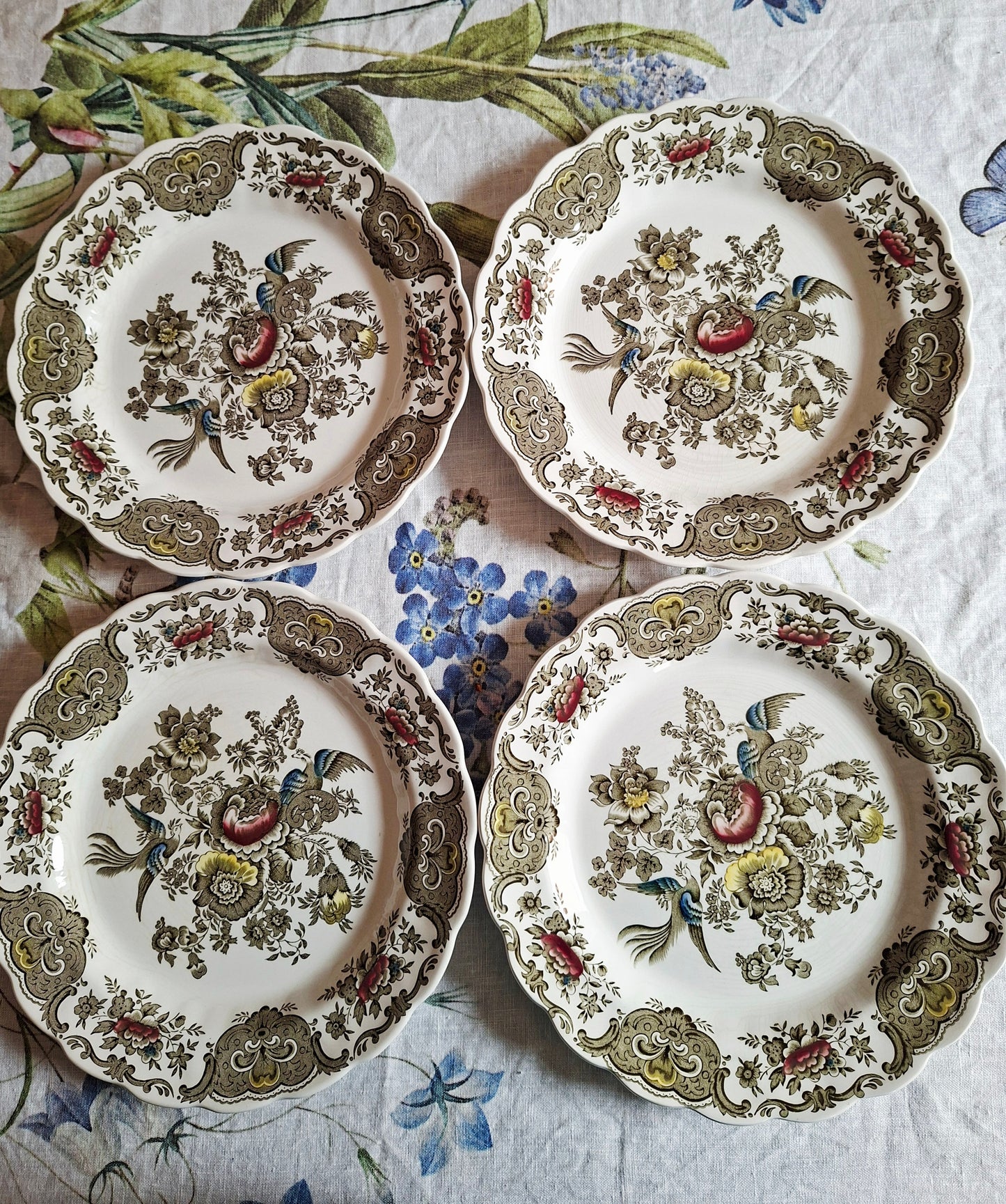 (1) Lot de 4 assiettes plates