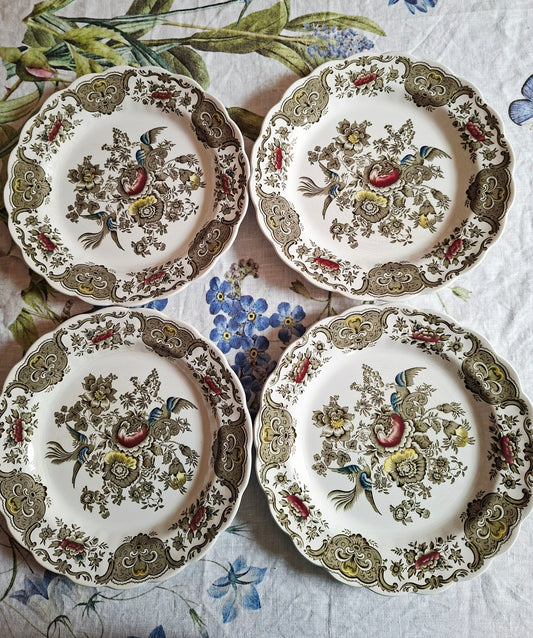 (1) Lot de 4 assiettes plates