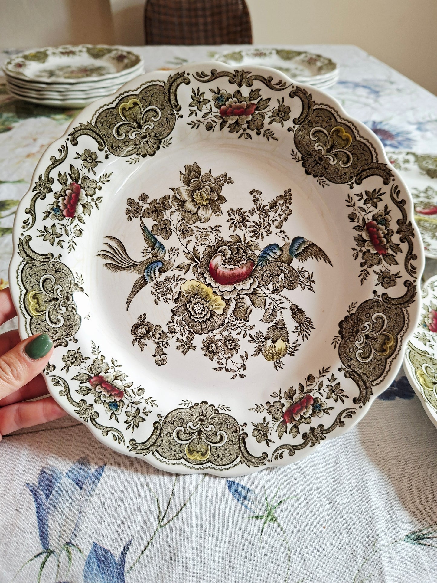 (1) Lot de 4 assiettes plates