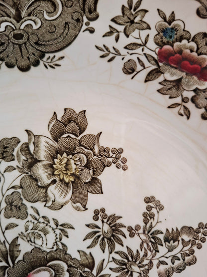(1) Lot de 4 assiettes plates