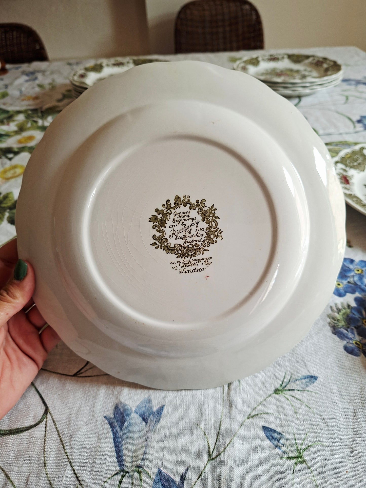 (1) Lot de 4 assiettes plates