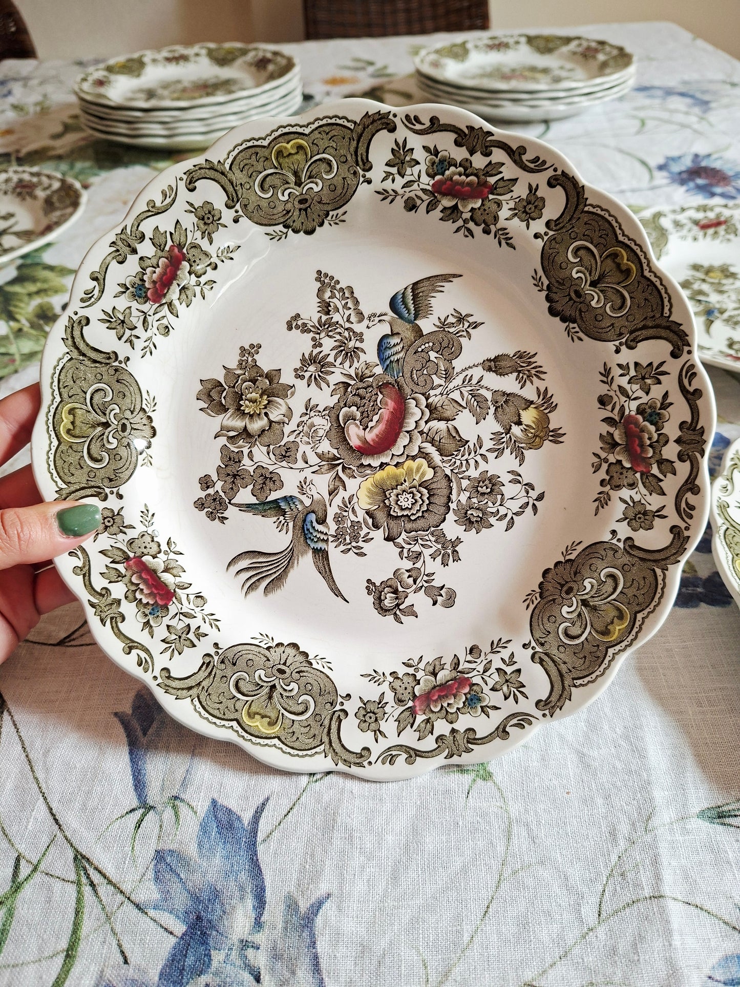 (1) Lot de 4 assiettes plates