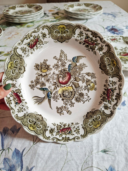 (1) Lot de 4 assiettes plates