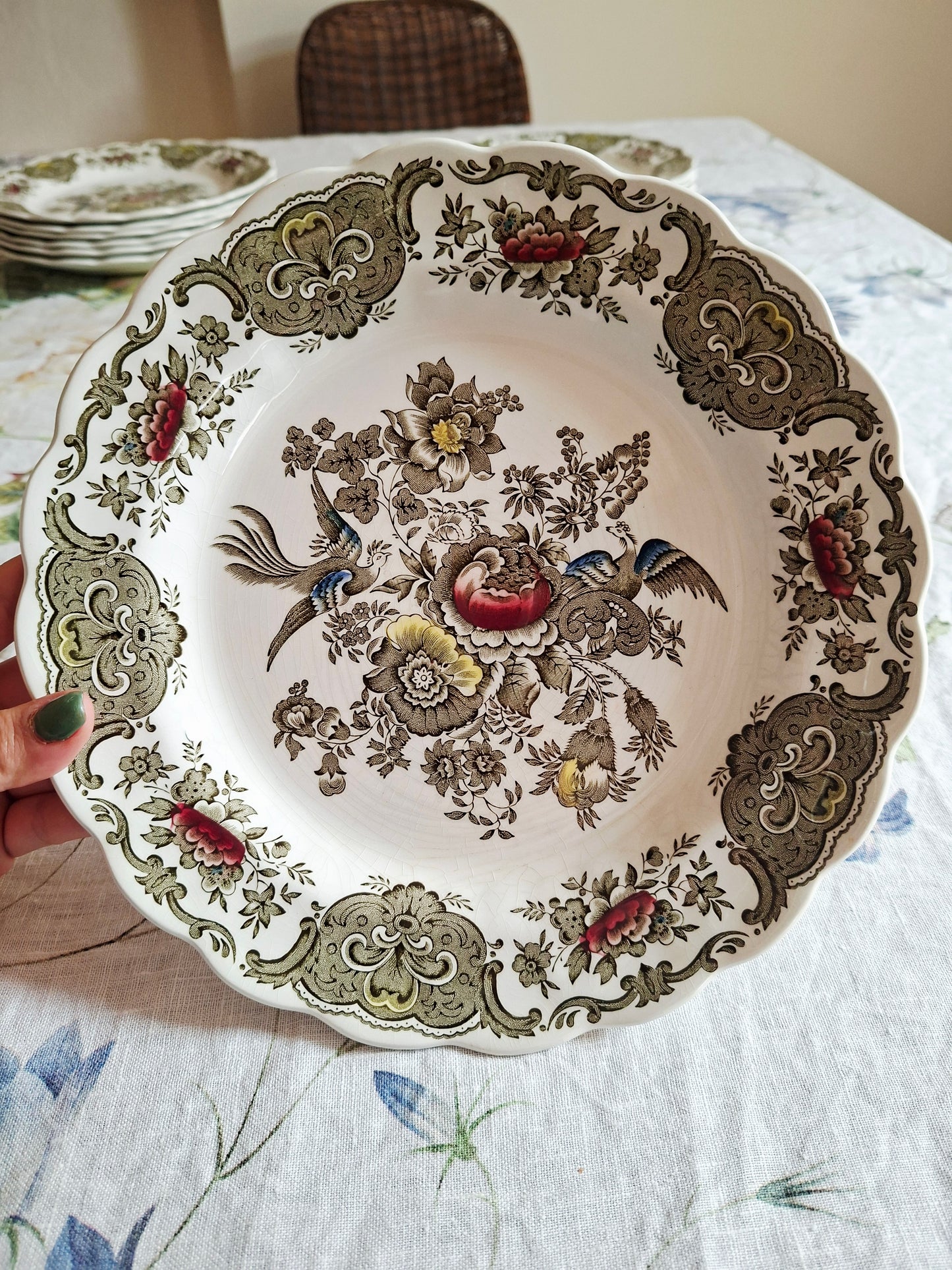(1) Lot de 4 assiettes plates
