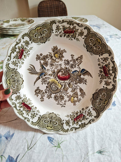 (1) Lot de 4 assiettes plates
