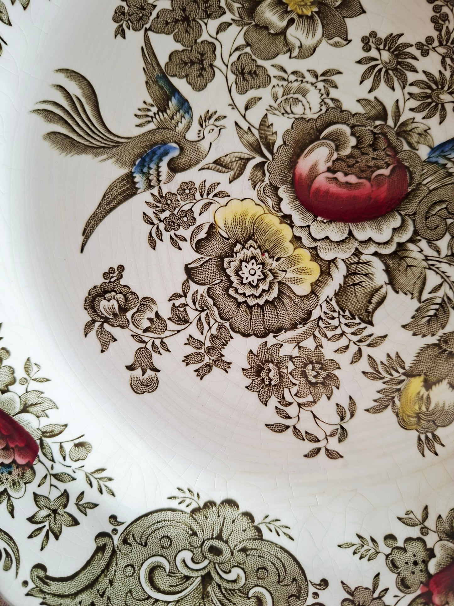 (1) Lot de 4 assiettes plates