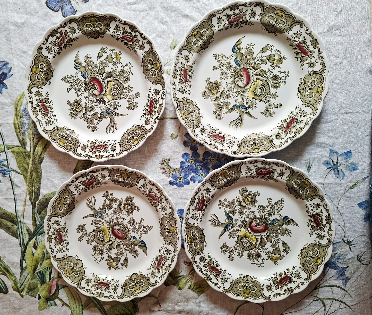 (2) Lot de 4 assiettes plates