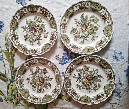 (2) Lot de 4 assiettes plates