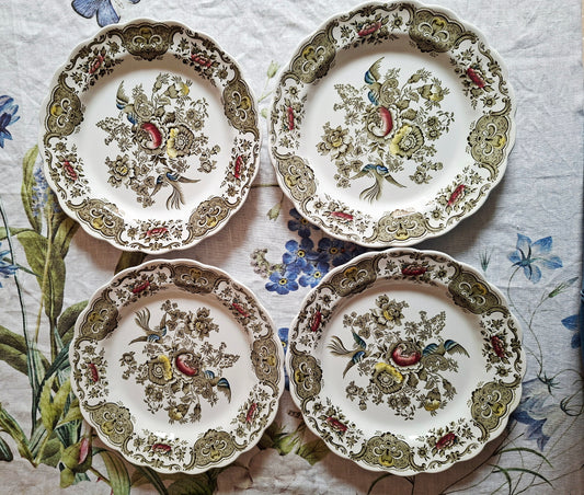 (2) Lot de 4 assiettes plates