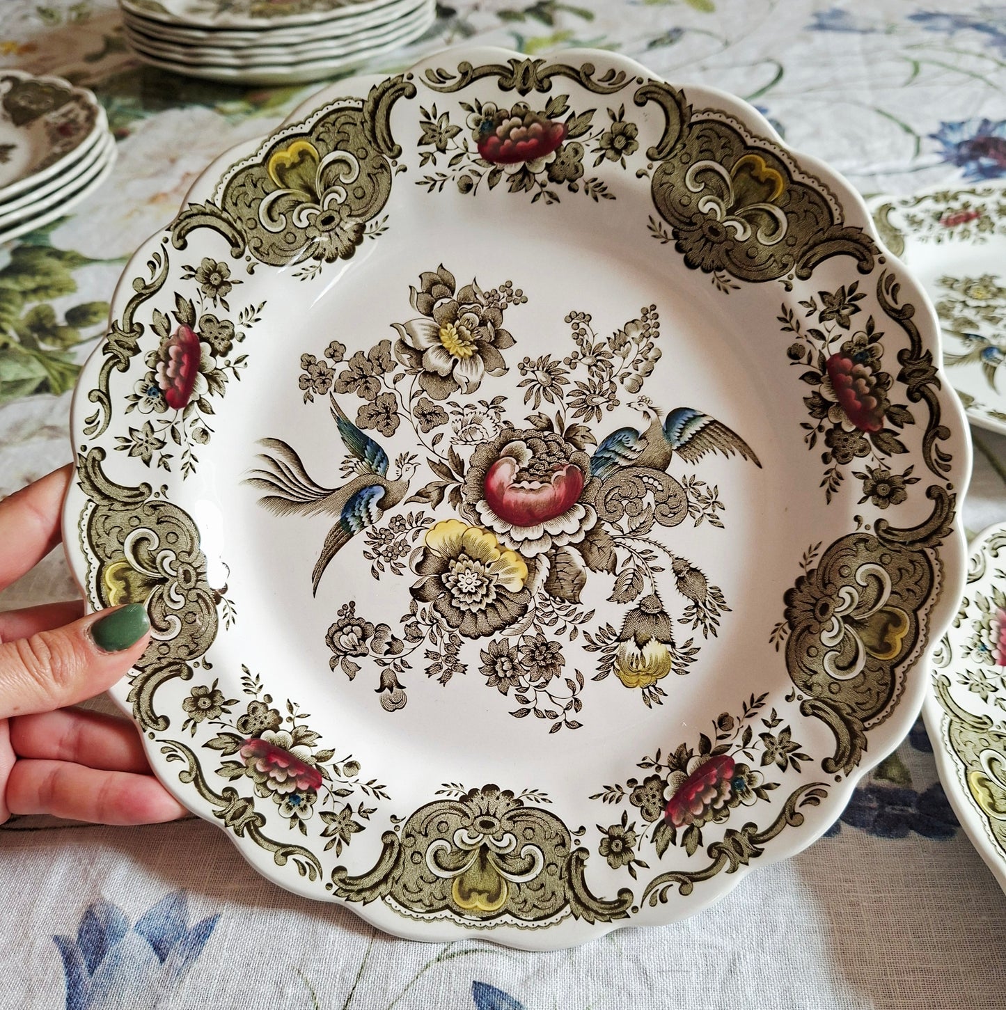 (2) Lot de 4 assiettes plates