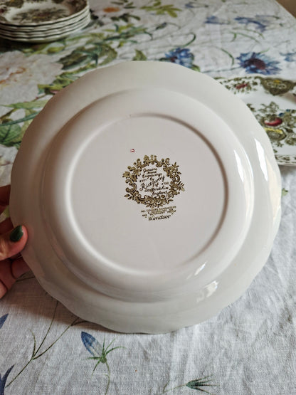 (2) Lot de 4 assiettes plates
