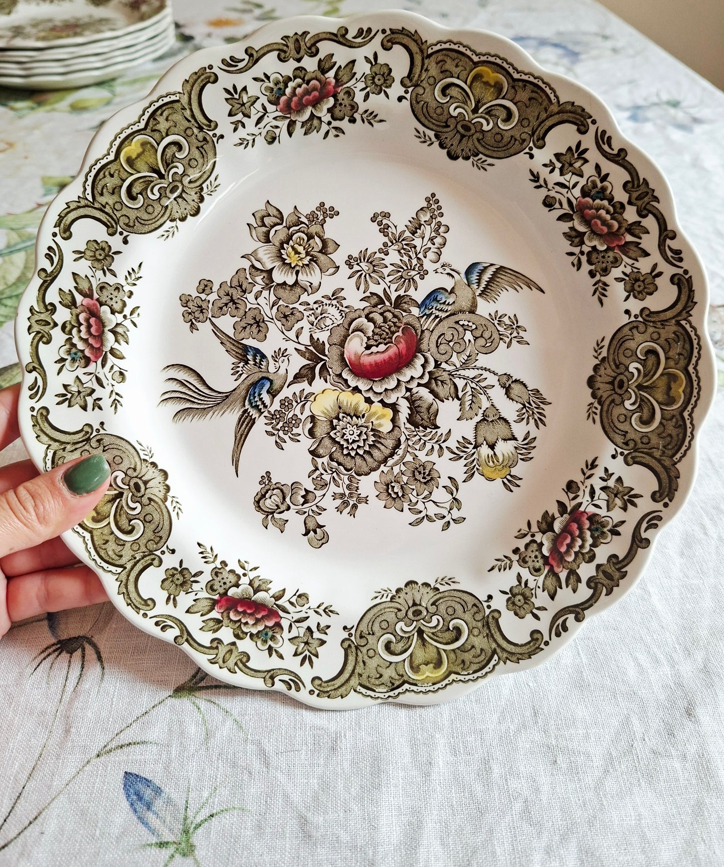 (2) Lot de 4 assiettes plates